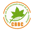 Center of Biotechnology-Borj Cedria