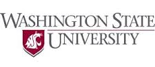 Washington State College